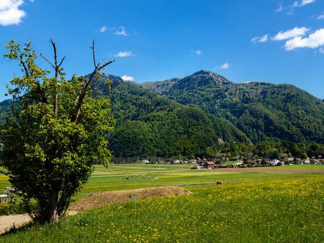 MAGNIFIQUE TERRAIN CONSTRUCTIBLE VIABILISÉ VIUZ DE 1423M2