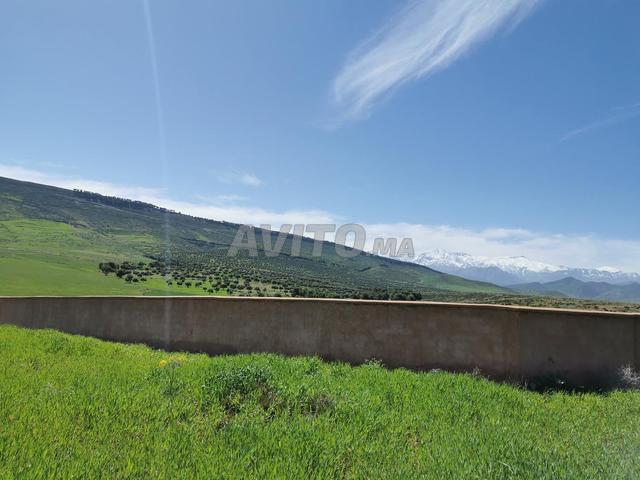 Magnifique Terrain Clôturé de 10.000m2 à l'Ourika