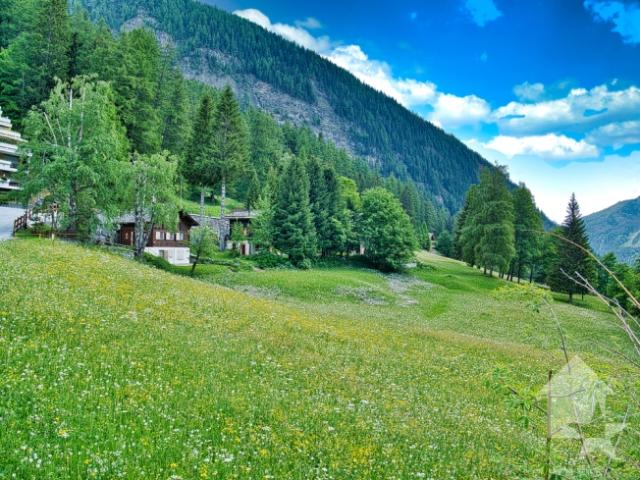 Magnifique terrain à bâtir de 868 m² à côté de la Torrentbahn avec vue