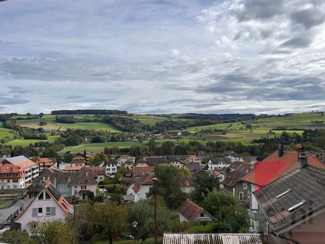 Magnifique villa de 5,5 pièces en pignon à Lucens | dreamo. Ch