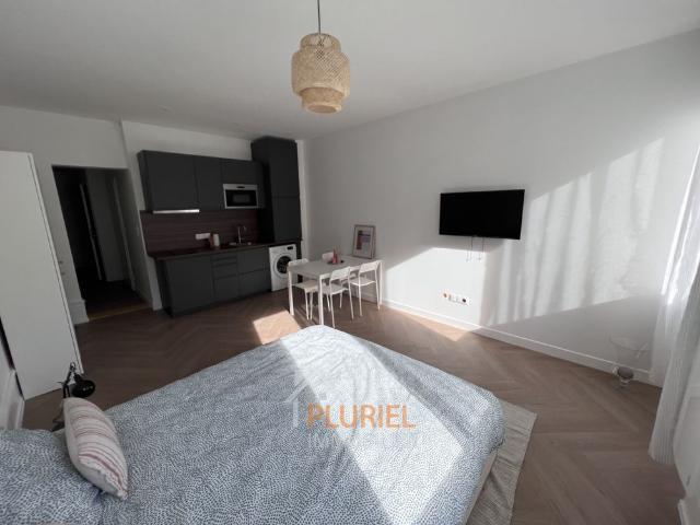 Magnifique 1 pièce 31m² meublé en hyper centre de Strasbourg