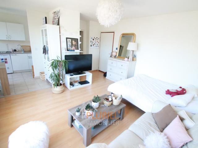 Magnifique 1 pièce 33m2 à NEUDORF RIVETOILE