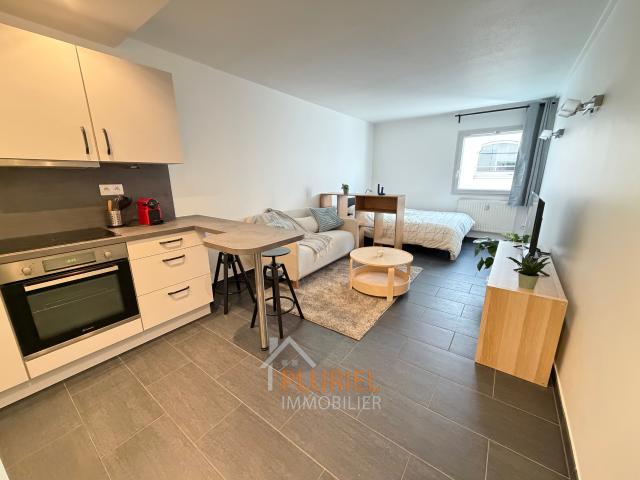 Magnifique 1 pièce meublé 30m2 Quartier Vosges à STRASBOURG