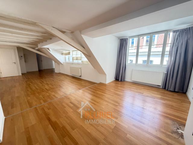 Magnifique 3/4 pièces 97.3m2 Quai Saint Nicolas à STRASBOURG