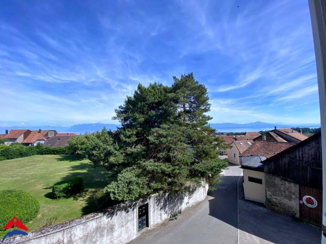 Magnifique 4,5 pièces rénové Calme 100m2 environ