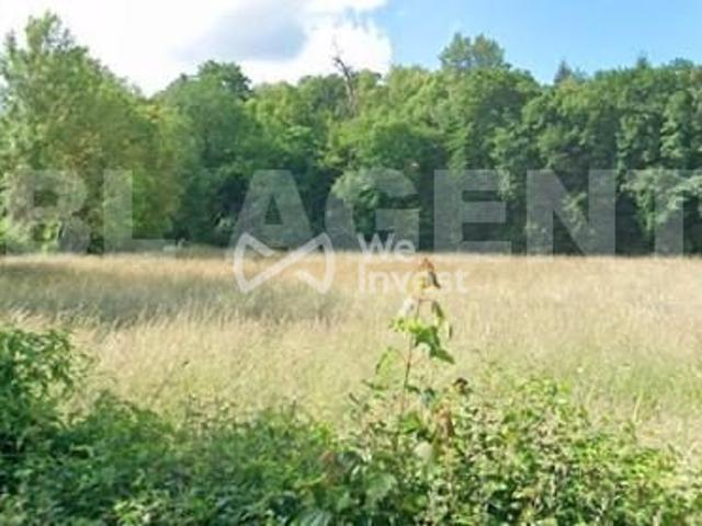 Magny le Hongre Vente Terrain 77