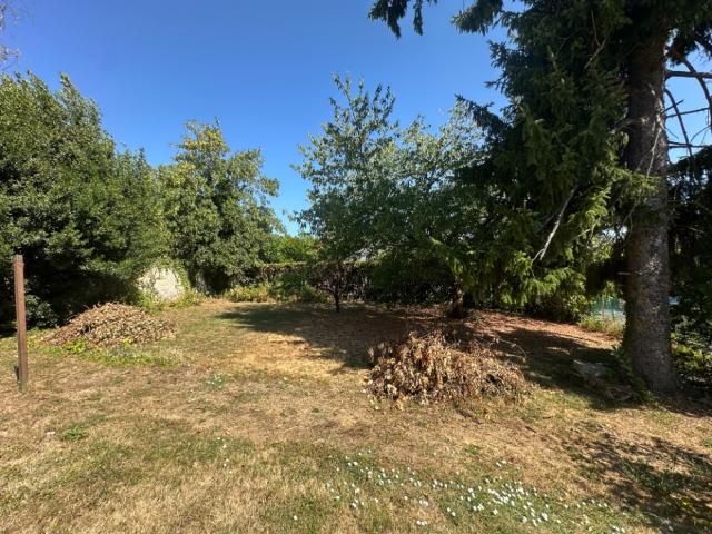 Magny le Hongre Vente Terrain 77