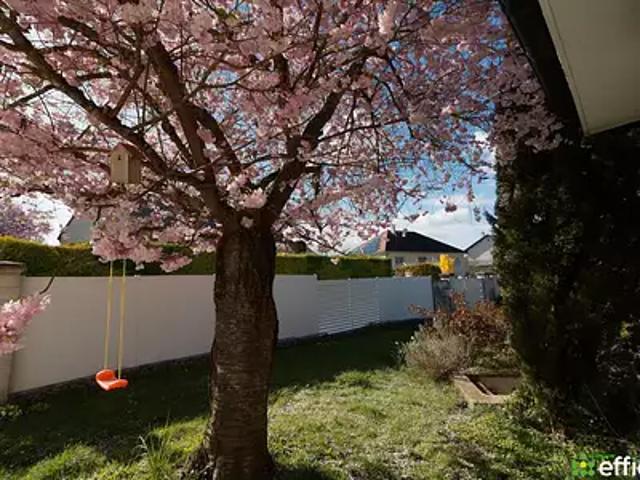 Magny sur Tille 21110 Achat / Vente maison 7 pièces t7 jardin terrasse