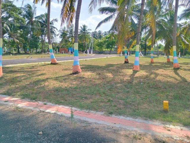 Mahabalipuram Residential Plot For Sale Chennai
