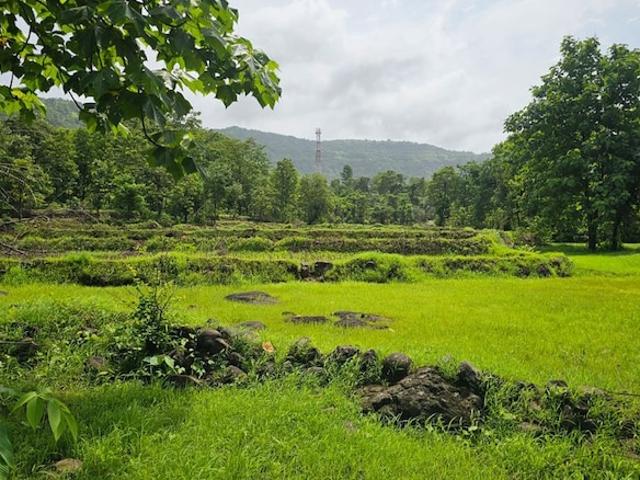 Mahad, Raigad City Commercial Land 200 Acre in Mahad Raigad Listing ID: #10115