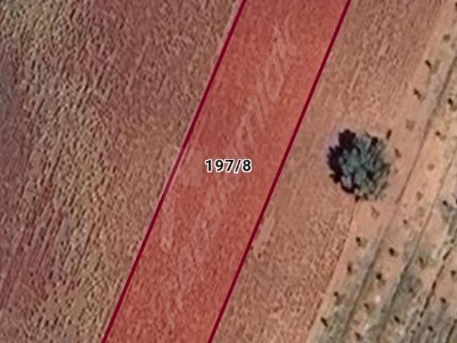 mahmudiye'de yolu suyu olan 1845 metre