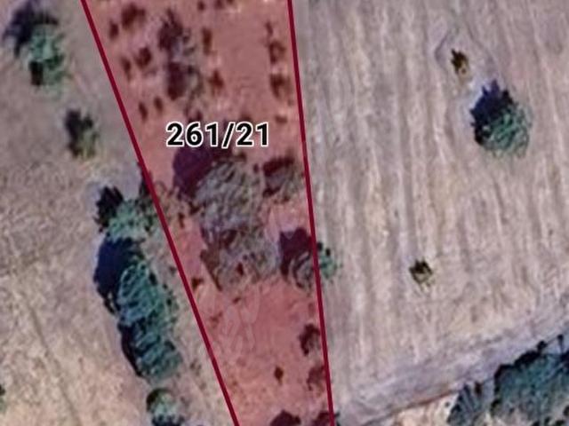 mahmudiye'de satılık 2.307 metre Ceviz bahçesi