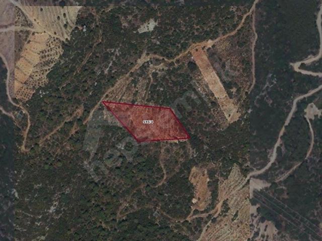 Mahmutseydi'de Satılık 4881 m2 Tarla