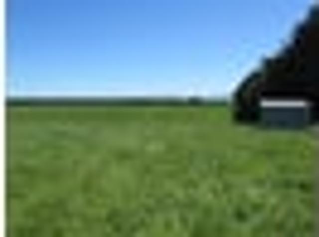 Maitland lifestyle and grazing opportunity