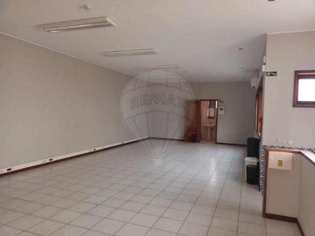 Maia Maia 104544302
