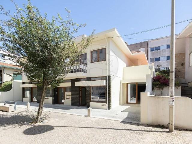 Maia Maia 104566490