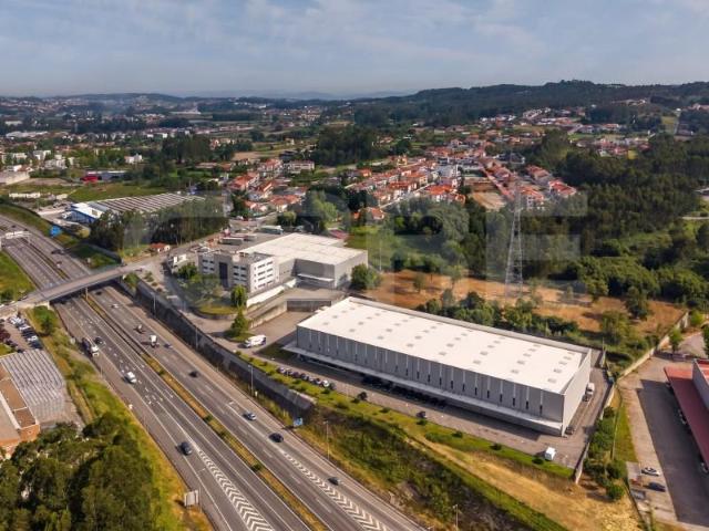 Maia Maia 104964704