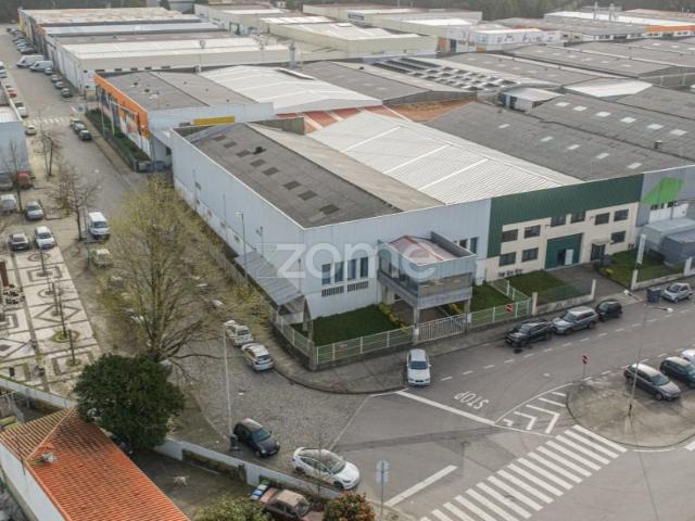 Maia Maia 100016118