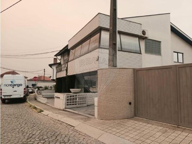 Maia Maia 91588447