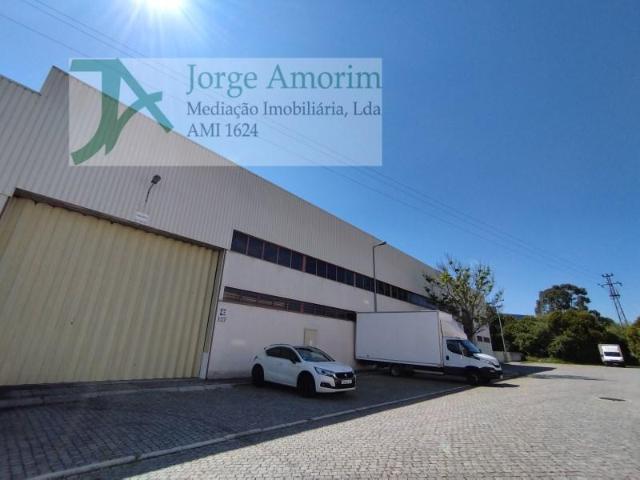 Maia Maia 96584413