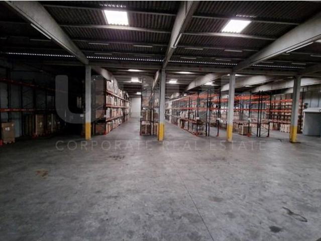 Maia Maia LS101156690