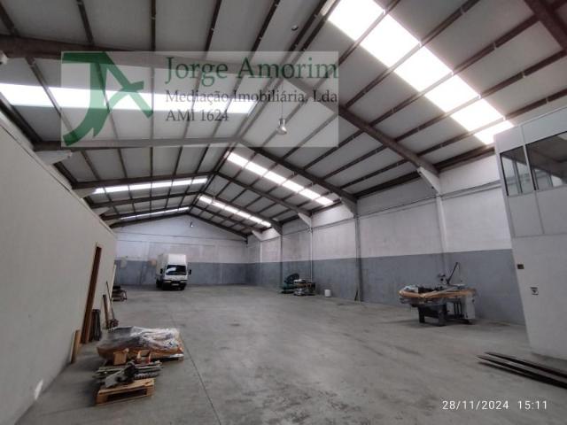 Maia Maia LS102289917