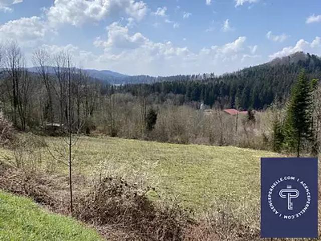 Maîche 25120 Achat / Vente terrain