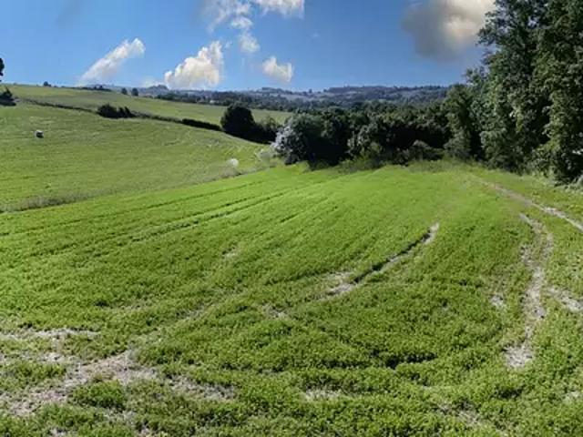 Mailhoc 81130 Achat / Vente terrain