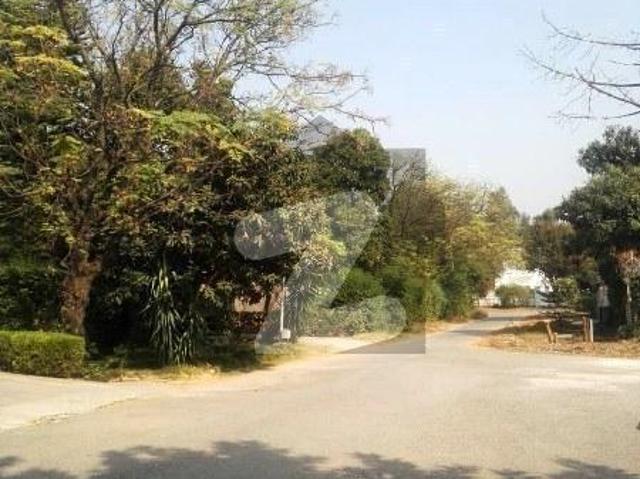 Main Margalla Road Investor Offer Huge Opportunity F 7