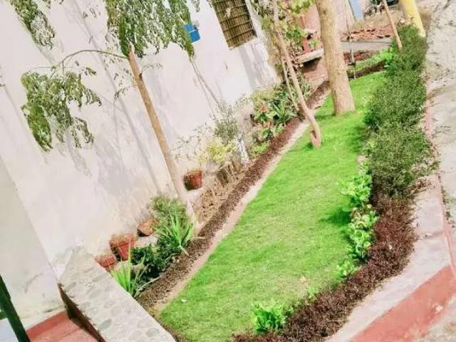 Main double Road Faisalabad ID 56064