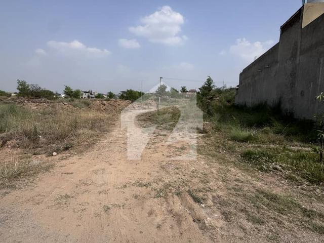 Main Road Plot For Sale 35x70 In C17