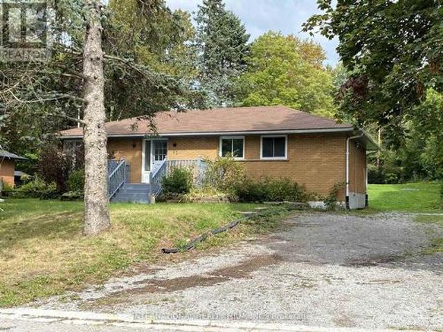 Main 53 Belfry Drive, Newmarket, ON, L3Y 3E9 house for lease | Listing ID N13681 | Royal LePage