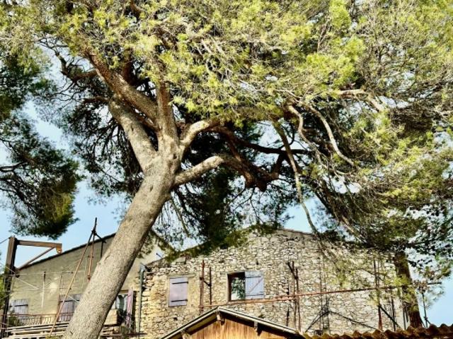 maison/villa