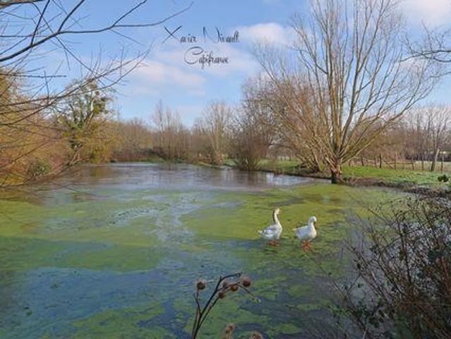 Maison 3 chambres, CHALON SUR SAONE Bourgogne 71100 DS88325903
