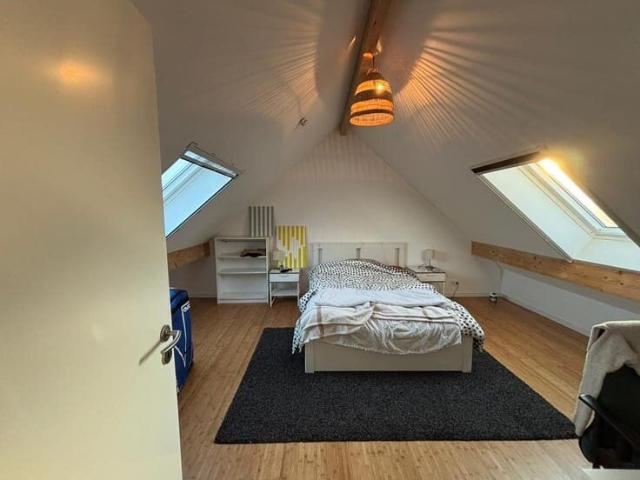 Maison 3 chambres, pas de charge, possibilité colocation