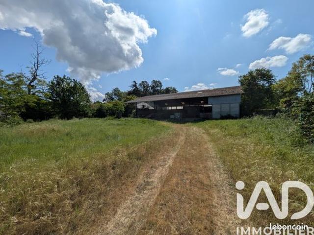 Maison 3 pièces 500 m²