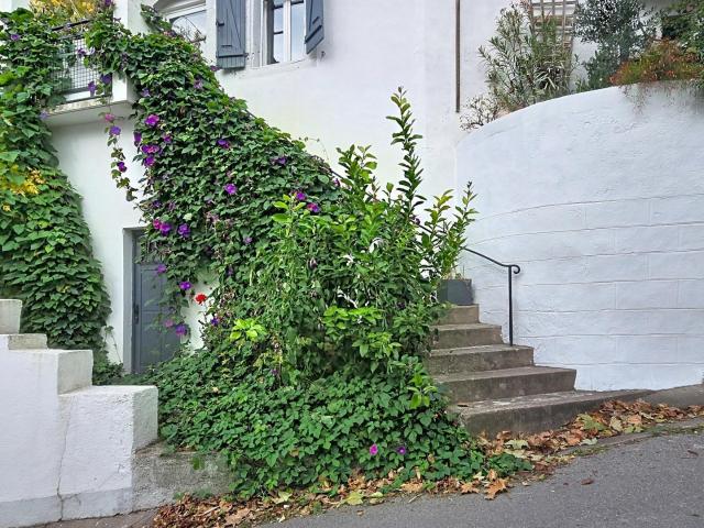Maison 3 pièces 50 m²