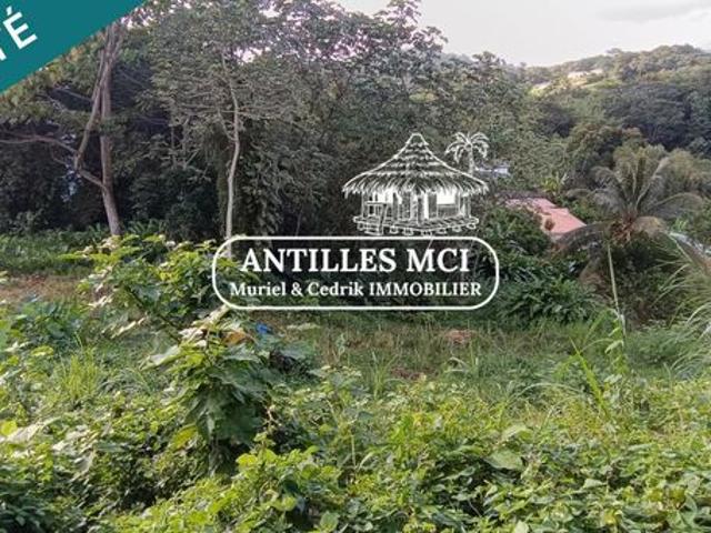 Maison 3 pièces 50 m²