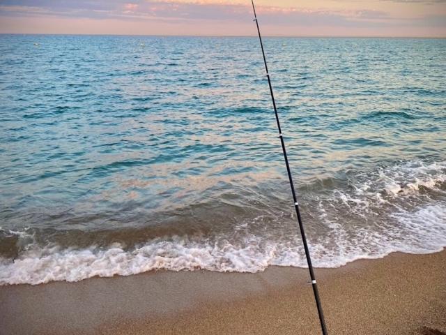 Maison 3 pièces 56 m²