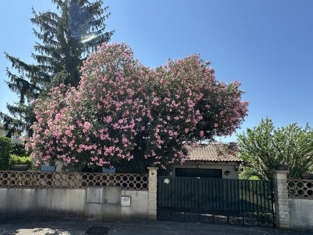 Maison 3 pièces 65 m²