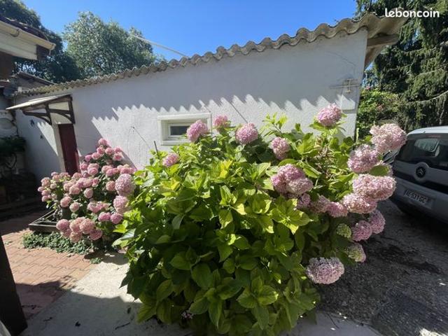 Maison 3 pièces 70 m²