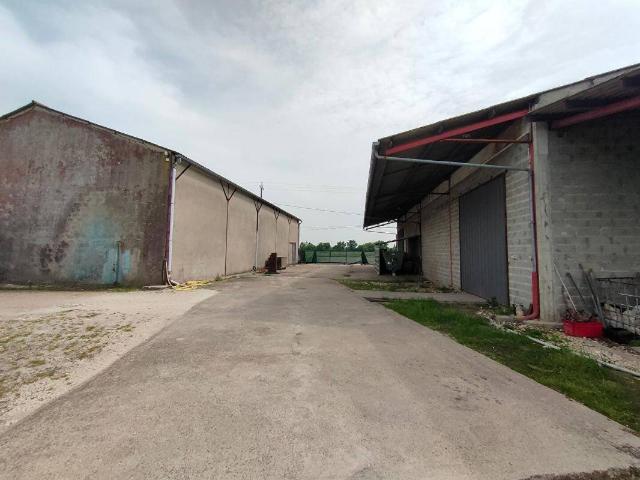 Maison 1000 m2 Vayres
