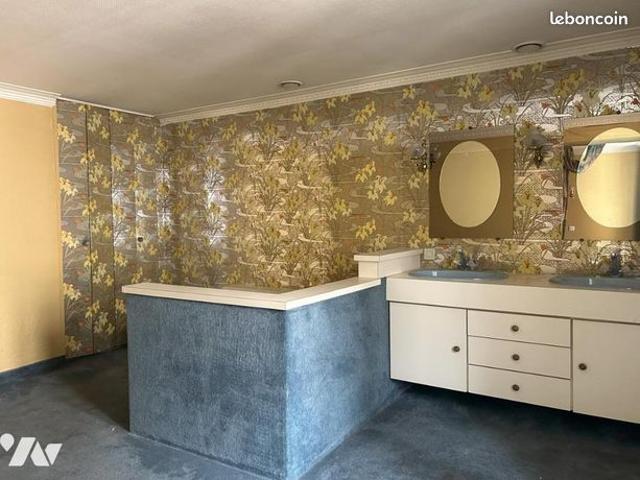 Maison 10 pièces 225 m²