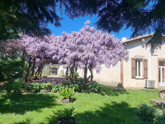 Maison 10 pièces 360 m²