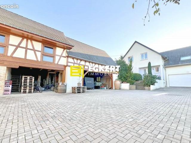 Maison 10 pièces 322 m²
