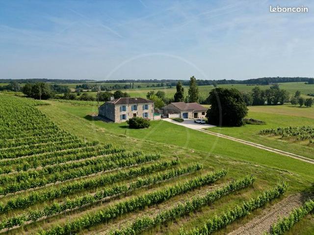 Maison 10 pièces 325 m²