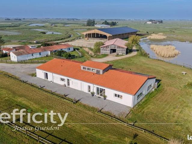 Maison 11 pièces 270 m²