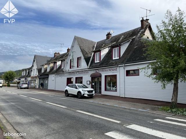 Maison 11 pièces 480 m²