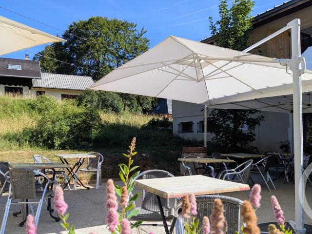 Maison 11 pièces 600 m²