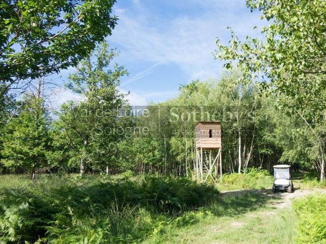 Maison 13 pièces 710 m²